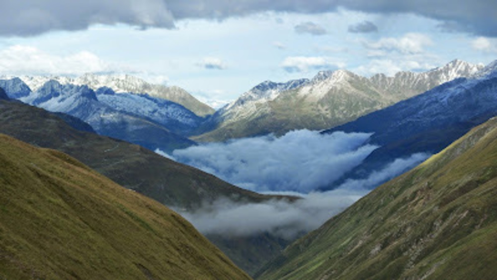 Meet your Posher, Zach